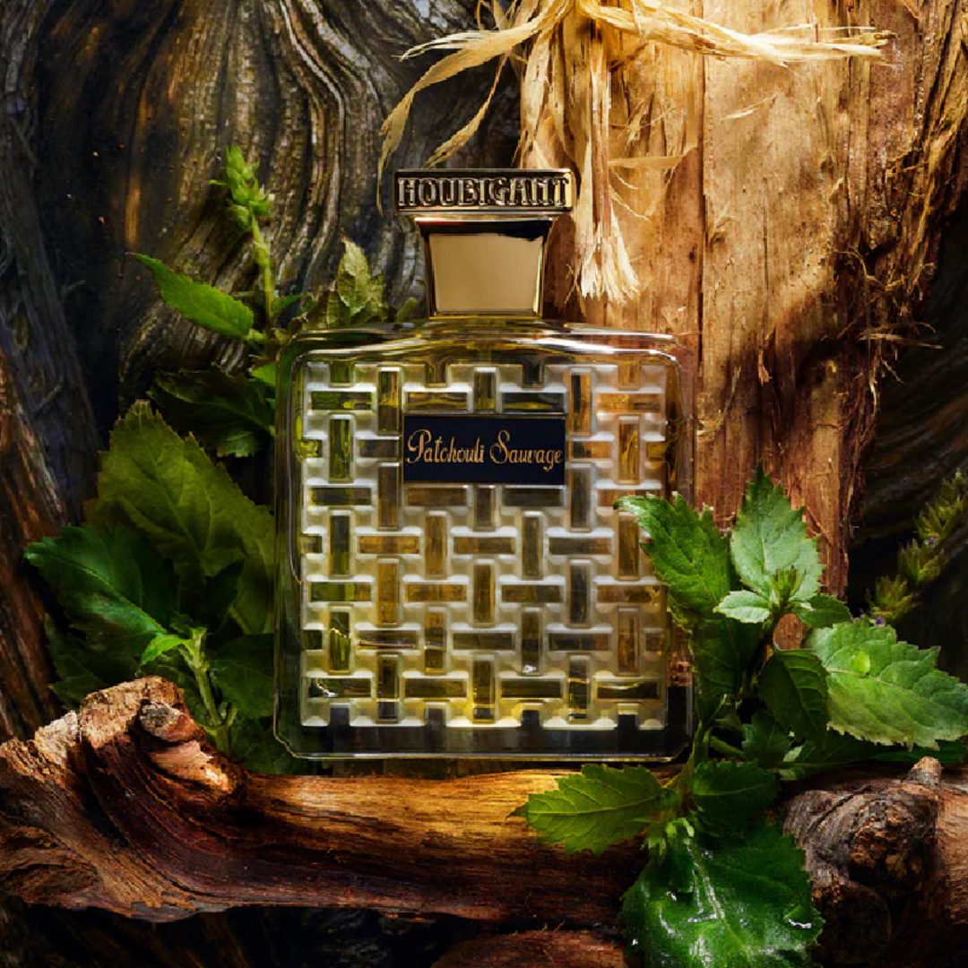 Patchouli sauvage