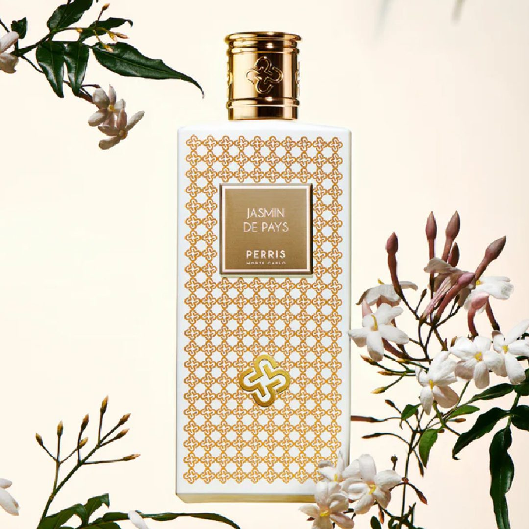 Jasmin de pays