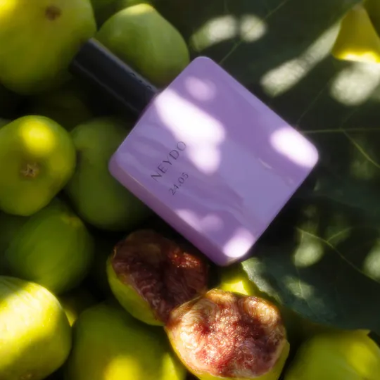 FIERY FIG 24.05 - immagine 2