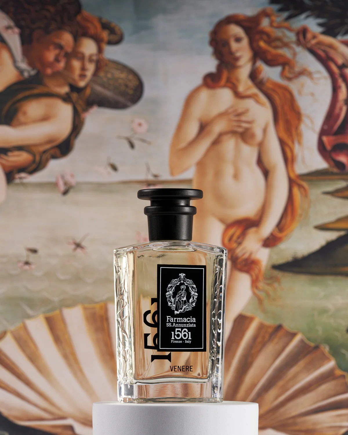 Venere - immagine 2